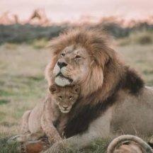 12 Days Uganda Tour