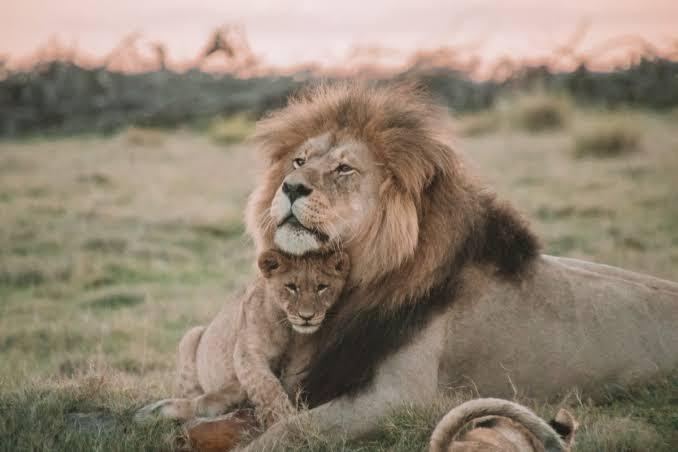 12 Days Uganda Tour